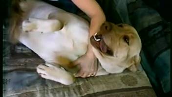 Hot chick with rosy slit mounting canine shaft and climaxing
