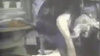 Hot booty sluts in traditional bestiality footage