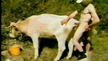 Classic adult film featuring an extremely aroused bestiality lover