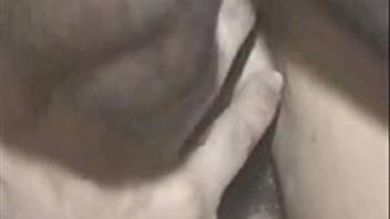 Classic adult film featuring intense doggy-style intercourse