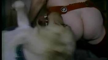 Wild cowgirl riding in an extreme bestiality porn clip
