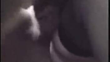 Hottie in stockings pounded roughly by a well-endowed beast
