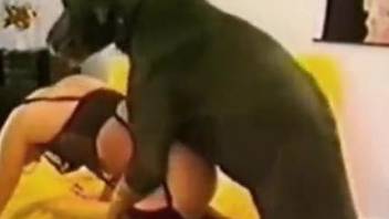 Zoophile in stockings is getting destroyed by a dog