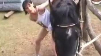 Brunette worships a horse's hot cock for the camera