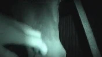 Evening bestiality desire starring an aroused guy