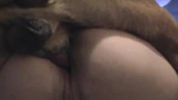 Sexy mature reaches the orgasm during sex with a dog