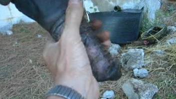 Guy strokes a horse's stiff dick in a steamy first-person video