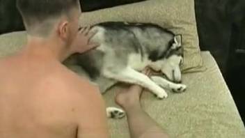 Mature woman fingers her vagina then savors the canine penis