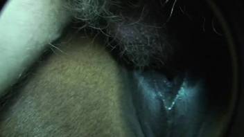 Nude guy intensely thrusts into the mare during savage adult footage