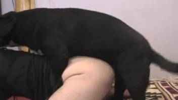Furry-anus bestiality enthusiast receiving from a shaggy creature