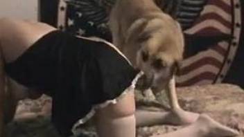 Horned-up mature lady getting fucked by a kinky pooch