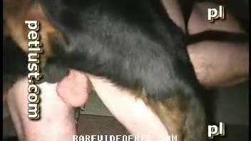 Premium intense canine copulation clips from first-person perspectives