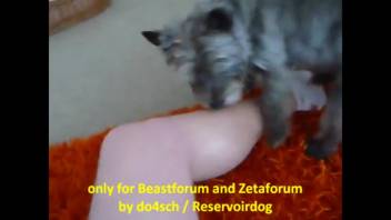 Novice girl flaunts on webcam while pleasuring with the dog in some explicit moments
