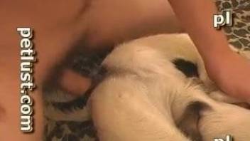 Amateur scenes of dog porn for a man avid to ass fuck the mutt