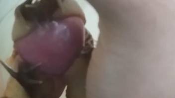 Man applies snails on his dick while masturbating