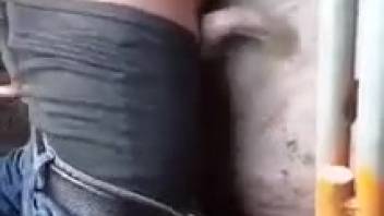 Guy anally penetrates beast in wild bestiality sequences