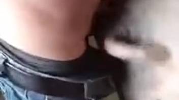 Guy screwing a sow's vagina and savoring the sensation