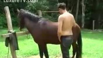 Man sucks a huge horse dick in extra spicy modes
