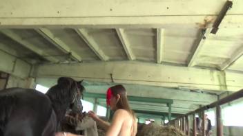 Voluptuous vixen in nylons receiving oral penetration from a stallion