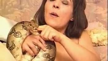 Attractive lesbians employ a serpent to enhance the arousal of their pussies