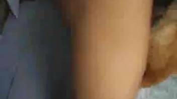 Guy with a bushy dick slamming a hot bitch hard