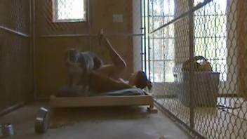 Caged hottie getting banged by a twisted animal