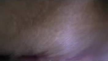Intimate footage of the lady sampling the canine penis