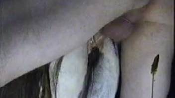 Guy fucks mare in the butt and cunt until the very last drop