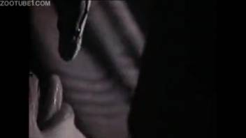 Lady attempts inserting snakes into her vagina in unique adult solo video