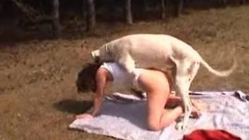 Trimmed pussy lady gets fucked by a dirty doggo