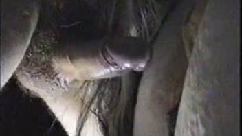 Late-night equine erotica with savage amateur bestiality sequences