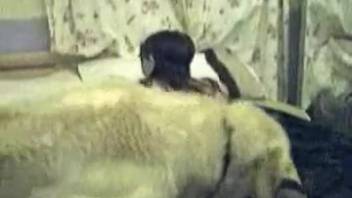 Sensual naked bestiality in retro scenes featuring a sexy model