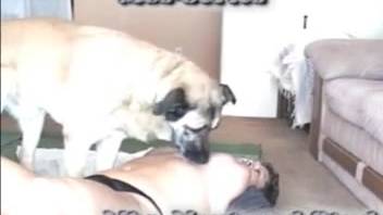 Voluptuous older woman performs wonders with the canine's delicious dick