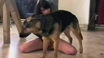 Naughty woman absolutely adores that canine shaft slamming her snatch