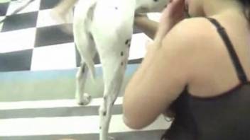 Novice animal sex whore being screwed following a handjob