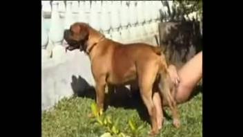 Small pup is about to shove its dick into her mouth