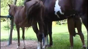 Dark horse reveals his enormous dick and bangs a narrow pussy