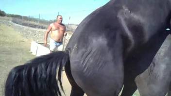 Stallions fucking makes the delight of this horny man