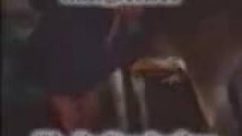 Vintage homemade adult film depicting an older woman orally pleasuring a horse's penis