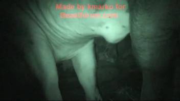 Naked guy lets the pig screw him in the butt during a full banging session