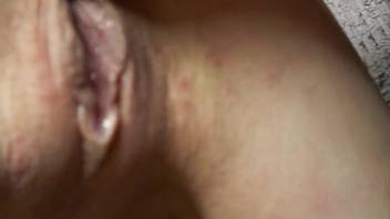 Canine enters the woman's pussy in an outstanding amateur video.