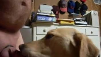 Guy with a stiff dick pleasures himself through at-home beast play