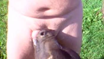 Plump guy deepthroating an obedient heifer live on webcam