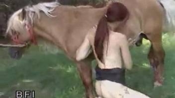 Redheaded slut is ready to screw a sexy horse