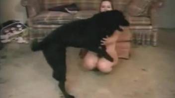 Dog licks her in the ass and pussy before fucking her