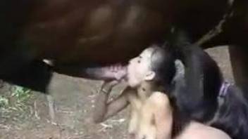 Amateur provides supreme blowjob and anal with a horse dick