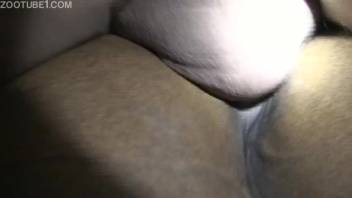 Guy's massive cock thrusts into a female horse's steamy cunt