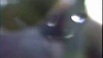 Mare arouses lustful man to desire intercourse during recording