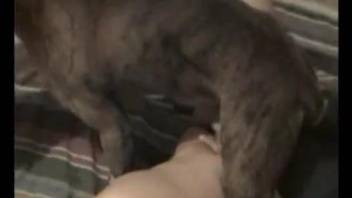 Dude gets his asshole licked by a submissive dog