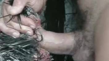 Guy is thrilled to shove his dick into a hen for some wild screwing